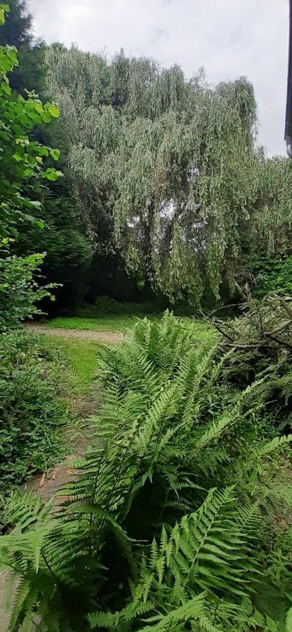 Fewo Im Naturschutzgebiet Apartment Hiddenhausen Exterior photo